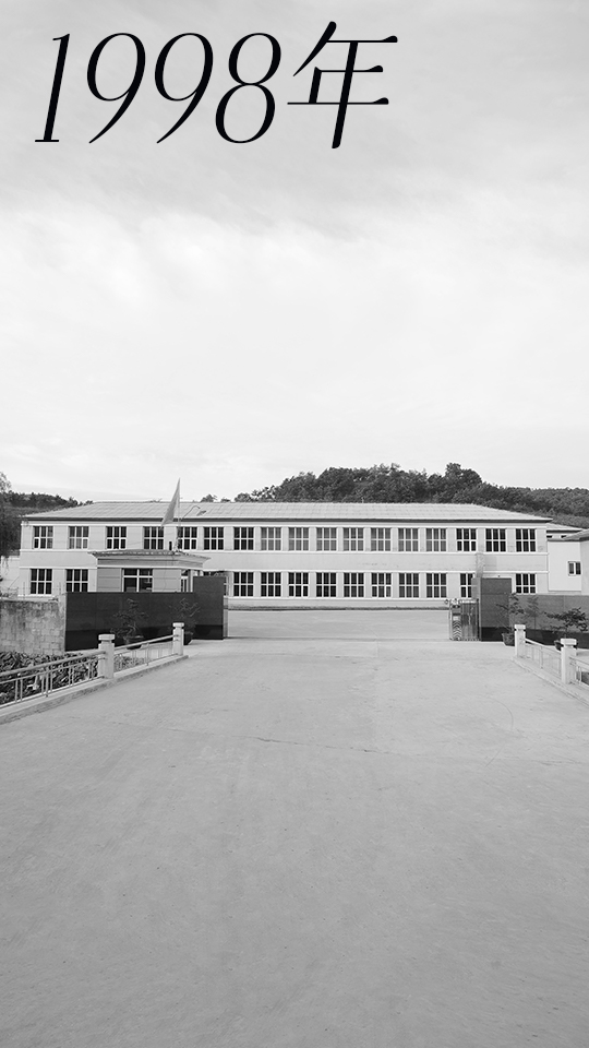 1998年公司成立